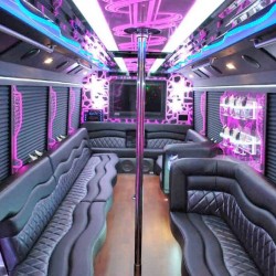 Party Bus