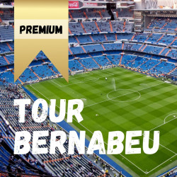 Visita panorámica  y Tour del Bernabéu
